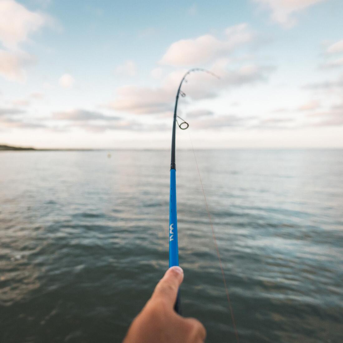 IMG_2643442